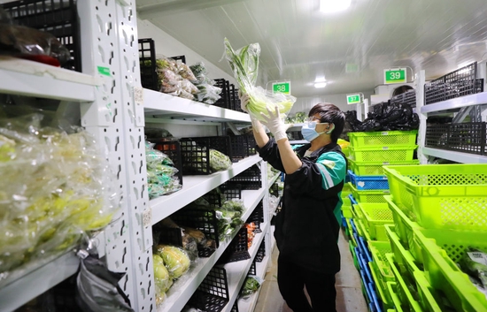 3月15日深夜，在位于上海闵行区老沪闵路的一家网络购物平台仓配站点，工作人员在冷藏库内将新到货的蔬菜分类摆放到货架上。新华社记者 方喆 摄