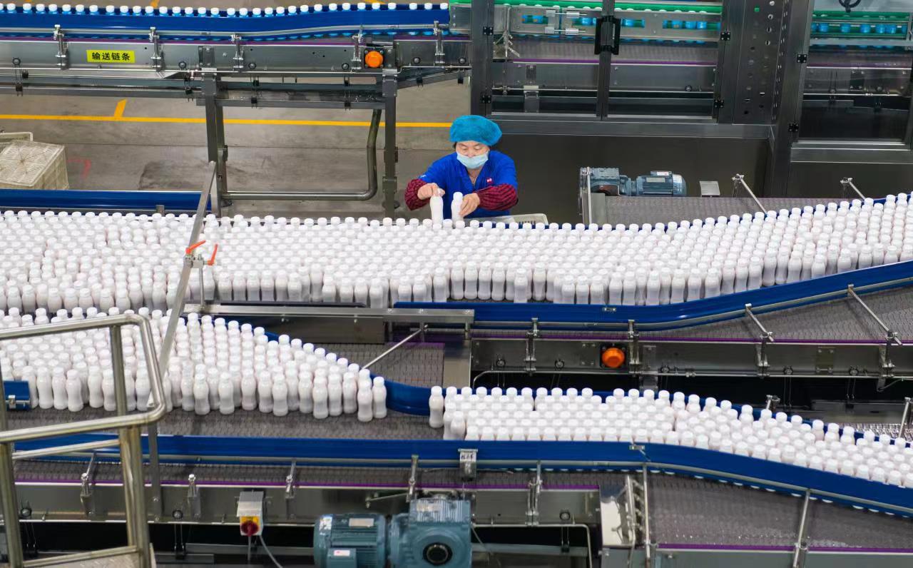 东君乳业（禹城）有限公司乳饮品生产线，工作人员正在分拣产品。（记者 贺莹莹 通讯员 白聪聪）